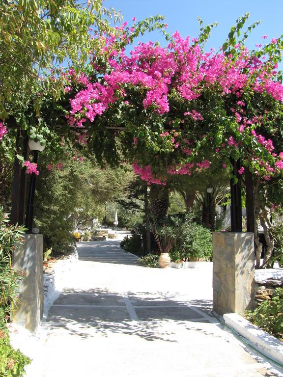 Eden Ios Rooms Mylopotas Buitenkant foto
