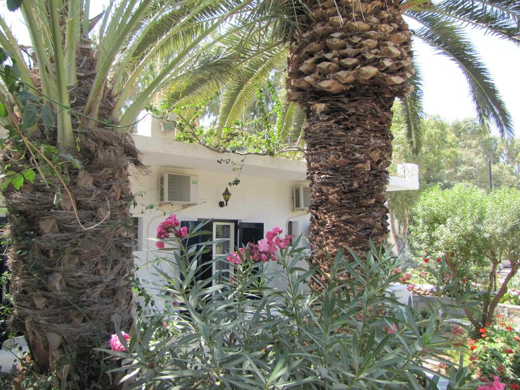 Eden Ios Rooms Mylopotas Buitenkant foto