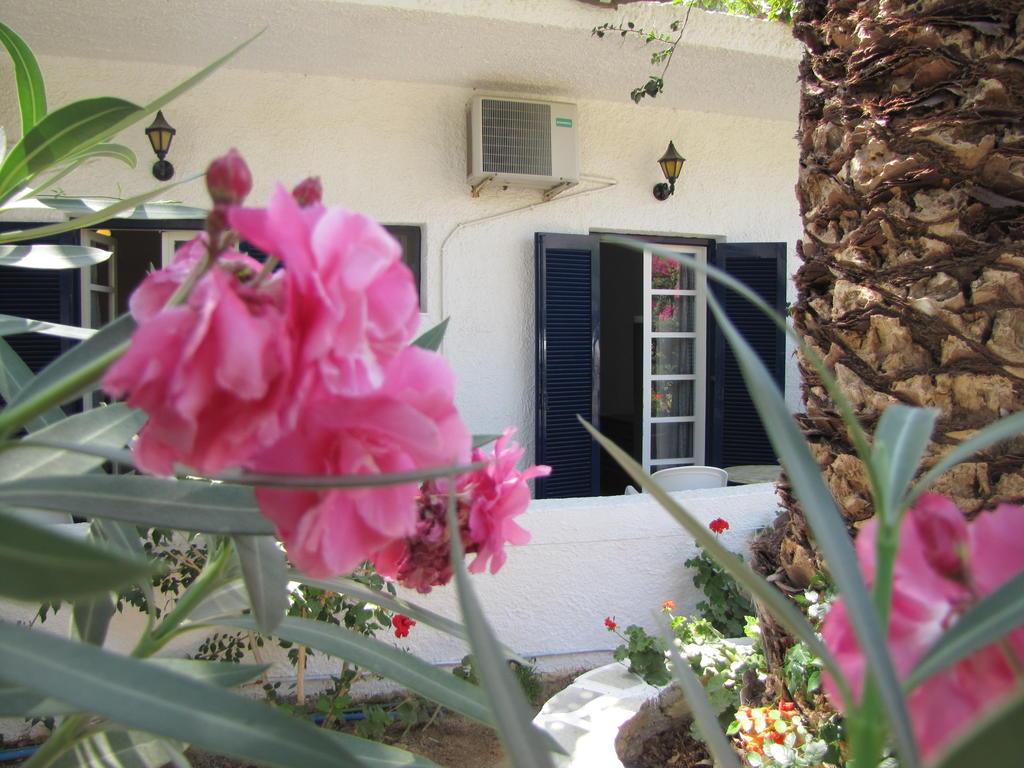 Eden Ios Rooms Mylopotas Buitenkant foto